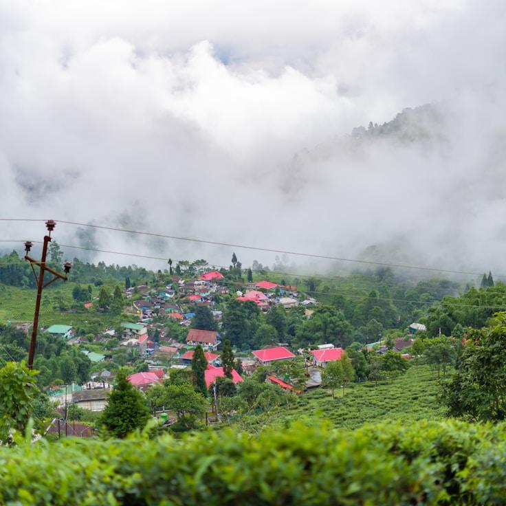 Family terraces and cafés for calm evenings in Ottawa
